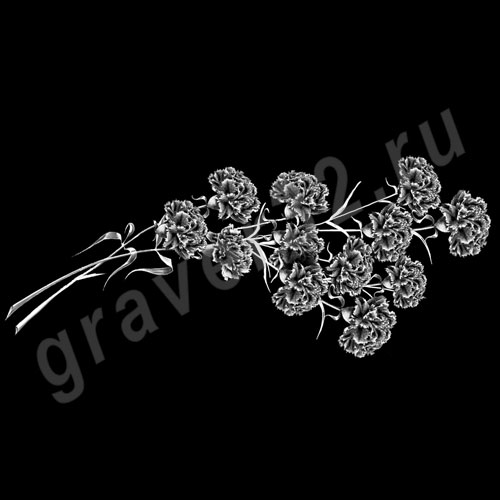 Гвоздики 1